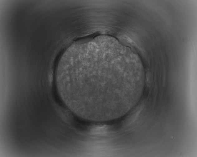 X0000088430206200706191240