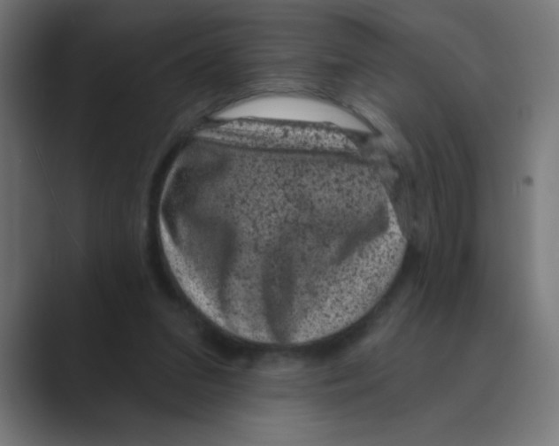 X0000088430207200706191240