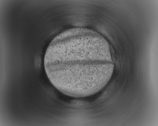 X0000088430211200706191240