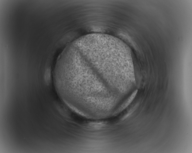X0000088430213200706191240