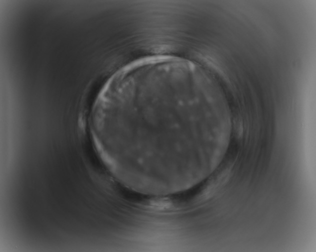 X0000088430214200706191240