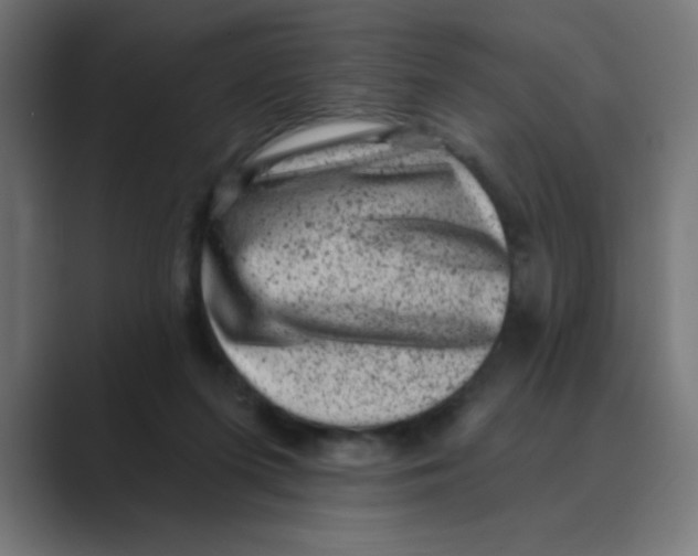 X0000088430215200706191240