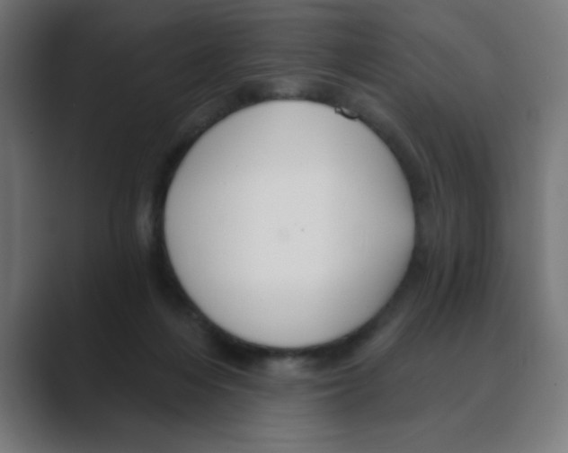 X0000088430216200706191240