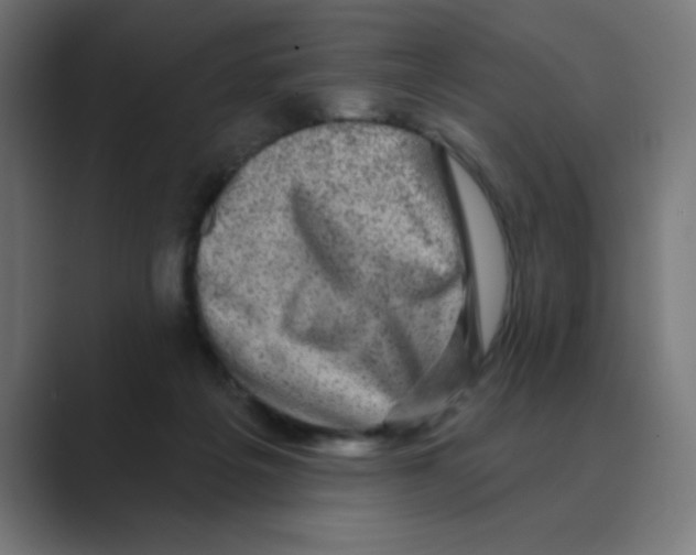 X0000088430217200706191240