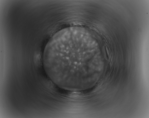 X0000088430222200706191240