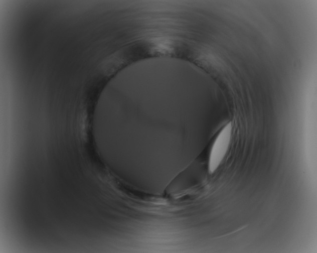 X0000088430223200706191240