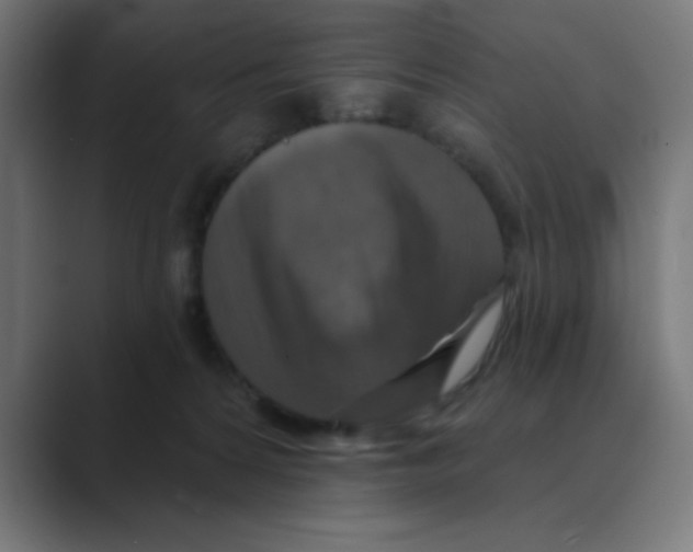 X0000088430224200706191240