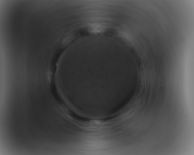 X0000088430227200706191240