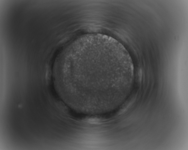 X0000088430228200706191240