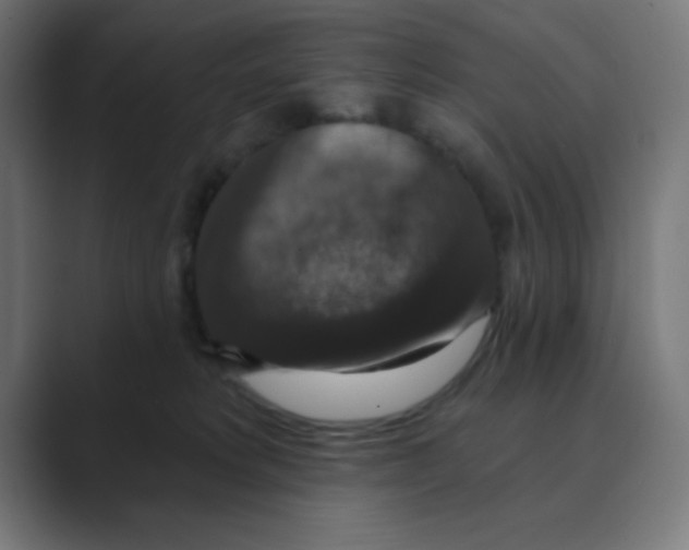 X0000088430229200706191240