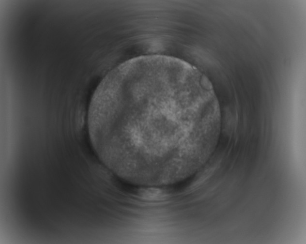 X0000088430230200706191240