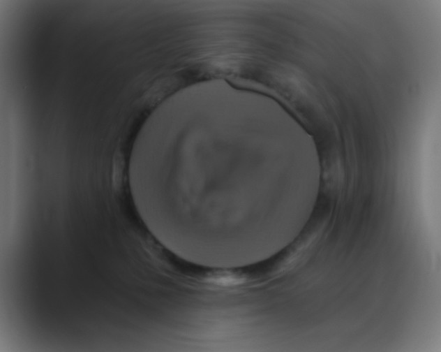 X0000088430231200706191240