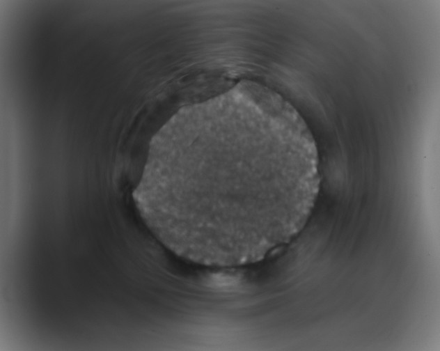 X0000088430232200706191240