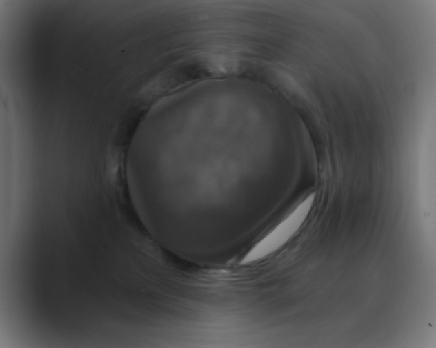 X0000088430233200706191240