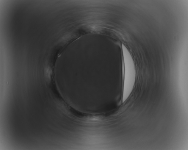 X0000088430235200706191240