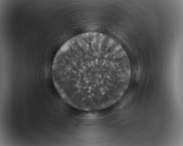 X0000088430236200706191240