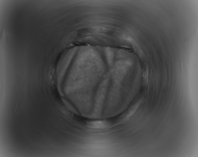 X0000088430237200706191240