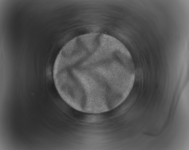 X0000088430238200706191240