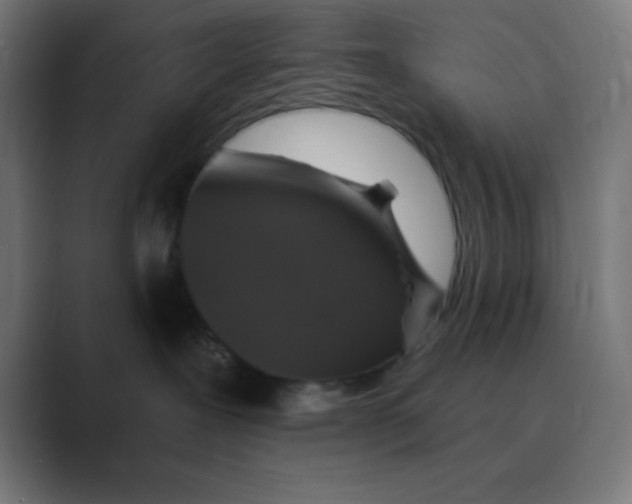 X0000088430239200706191240