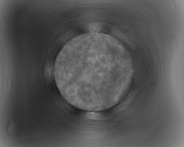 X0000088430240200706191240