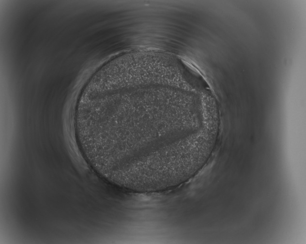 X0000088430241200706191239