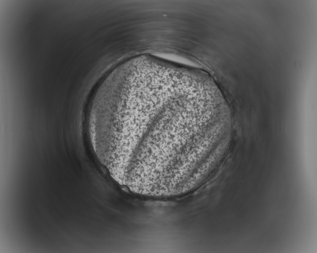 X0000088430242200706191239