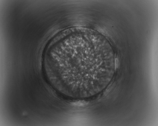 X0000088430243200706191239