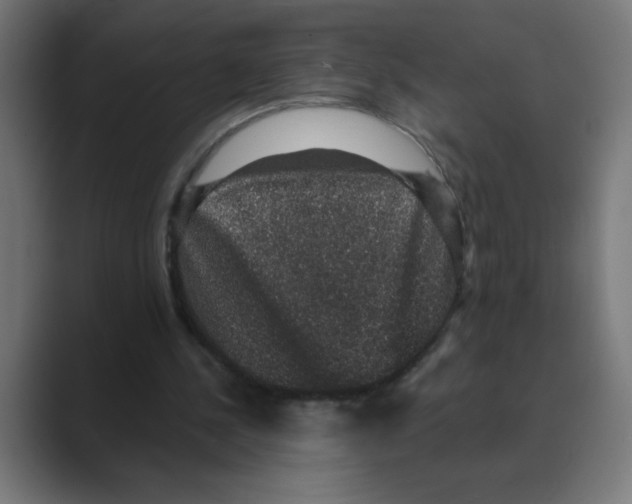 X0000088430244200706191239