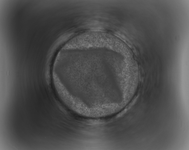X0000088430245200706191239