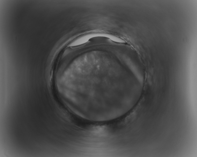X0000088430247200706191239