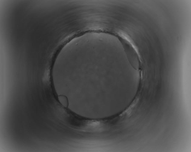 X0000088430249200706191239