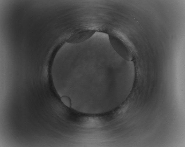 X0000088430250200706191239