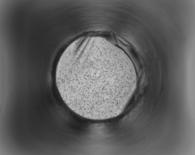 X0000088430252200706191239