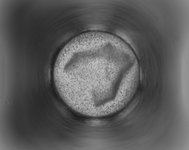 X0000088430253200706191239