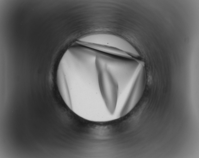 X0000088430256200706191240