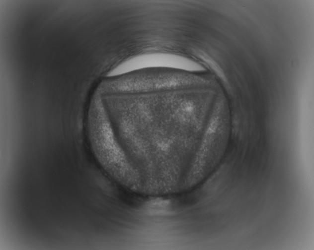 X0000088430257200706191240