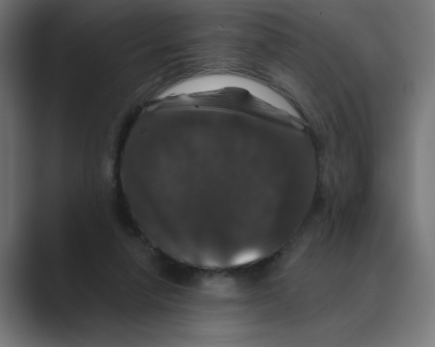 X0000088430258200706191240