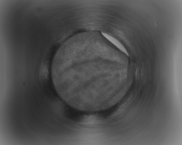 X0000088430259200706191240