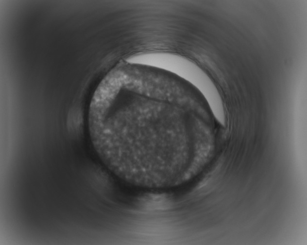 X0000088430260200706191240