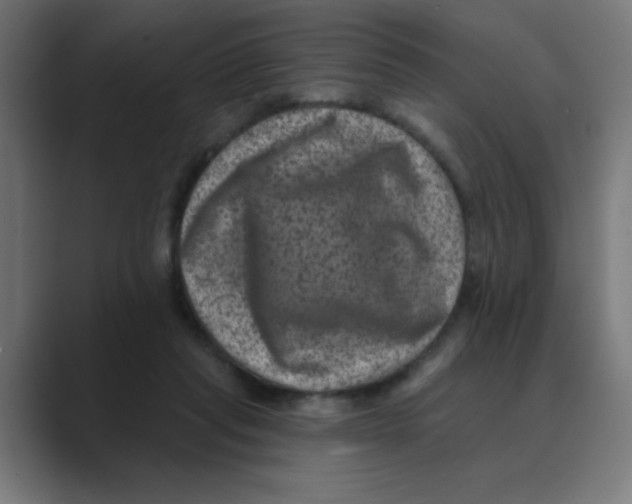 X0000088430261200706191240