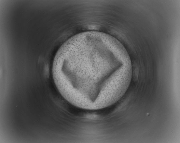 X0000088430262200706191240