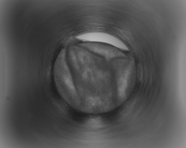 X0000088430263200706191240