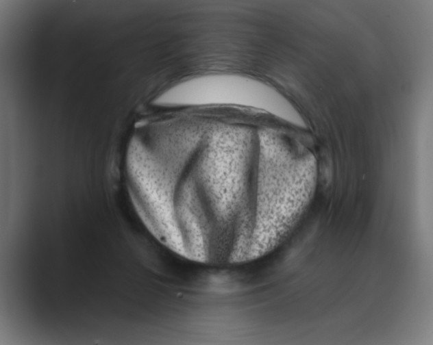 X0000088430264200706191240