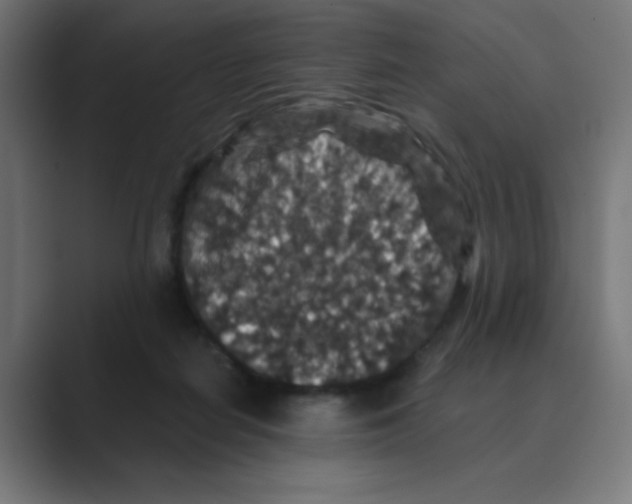 X0000088430266200706191240