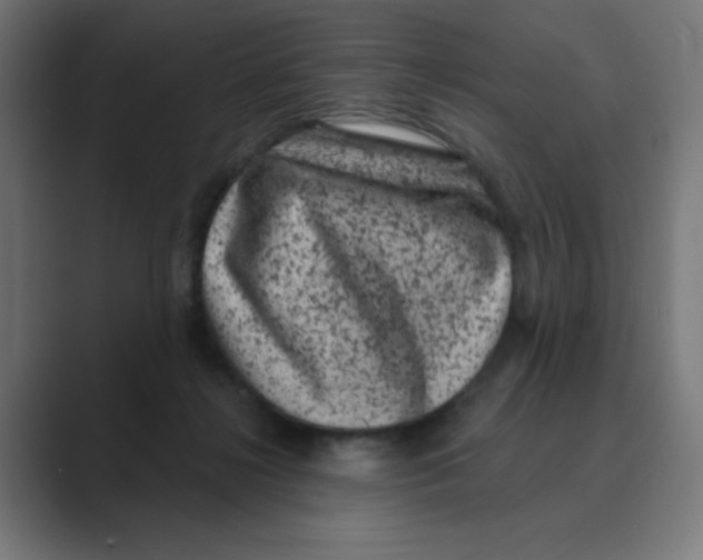X0000088430268200706191240