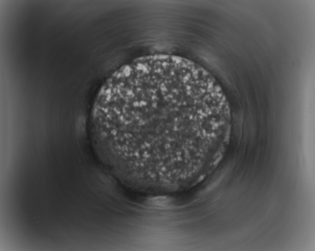 X0000088430269200706191240