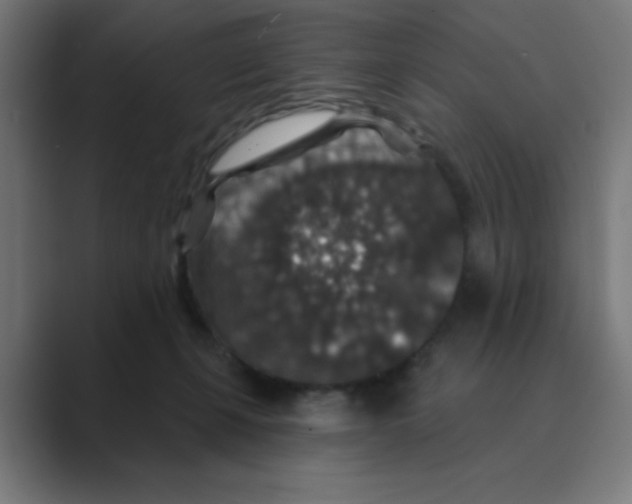 X0000088430271200706191240