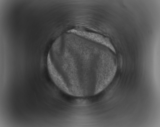 X0000088430272200706191240