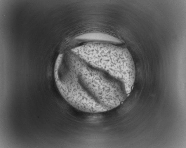 X0000088430274200706191240