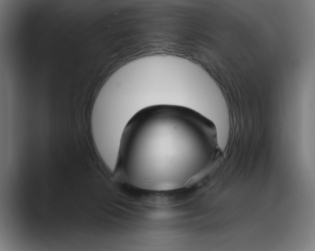 X0000088430276200706191240
